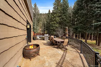 2971 Fall River Road, Idaho Springs, CO 80452 - Photo 29