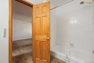3409 S Ammons St, Denver, CO 80227 - Photo 23