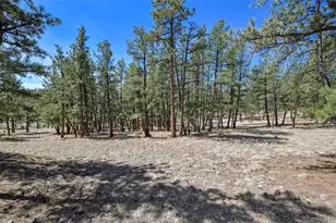 42 Hannah Cir, Westcliffe, CO 81252 - Photo 7
