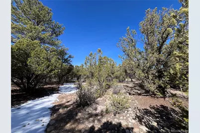 29274 Lakota Lane, Buena Vista, CO 81211 - Photo 21