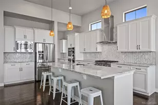 10061 Blue Blood Pl, Littleton, CO 80125 - Photo 13