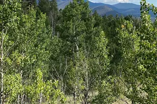 259 Bordenville Rd, Jefferson, CO 80456 - Photo 11