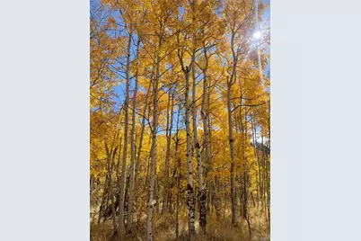 259 Bordenville Road, Jefferson, CO 80456 - Photo 39