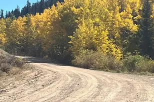 259 Bordenville Rd, Jefferson, CO 80456 - Photo 45