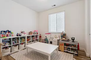 5308 Coltin Trl, Castle Rock, CO 80104 - Photo 9