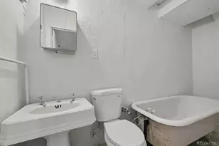 2309 Ivanhoe St, Denver, CO 80207 - Photo 29