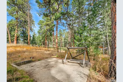 26731 Vosler Street, Conifer, CO 80433 - Photo 39