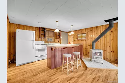 26731 Vosler Street, Conifer, CO 80433 - Photo 11