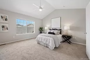 2235 Valentia St, Denver, CO 80238 - Photo 23