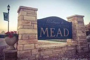 2344 Galloway St, Mead, CO 80542 - Photo 37