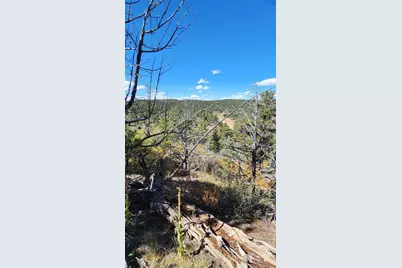 176 Arnold Drive, Cotopaxi, CO 81223 - Photo 23