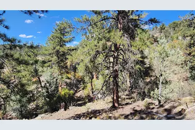 176 Arnold Drive, Cotopaxi, CO 81223 - Photo 27