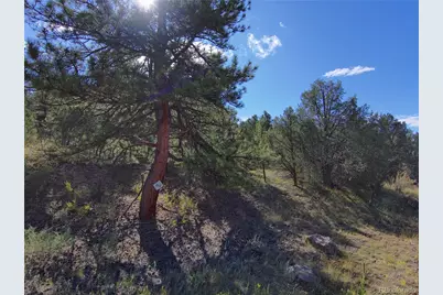 176 Arnold Drive, Cotopaxi, CO 81223 - Photo 37