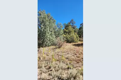 176 Arnold Drive, Cotopaxi, CO 81223 - Photo 19