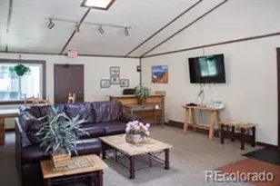 2300 Lodgepole Cir, Silverthorne, CO 80498 - Photo 23