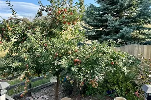 1689 Granger Cir, Castle Rock, CO 80109 - Photo 39