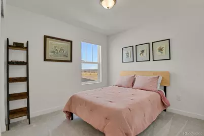 14118 Red Cosmos Street, Parker, CO 80134 - Photo 19