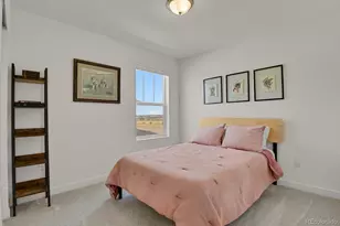 14118 Red Cosmos St, Parker, CO 80134 - Photo 19