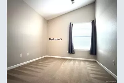 3766 Ute Mountain Trail, Castle Rock, CO 80109 - Photo 11