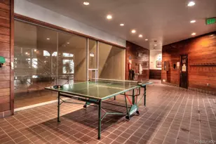 91500 Ryan Gulch Rd, Silverthorne, CO 80498 - Photo 39