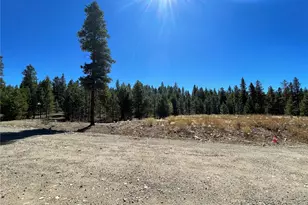 451 Virginia Ave, Leadville, CO 80461 - Photo 1