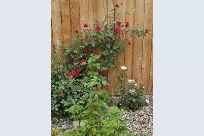 7670 Lewis Court, Arvada, CO 80005 - Photo 37