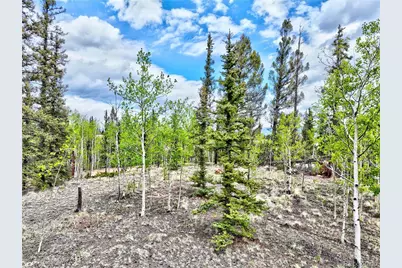 522 Tepee Trail, Como, CO 80432 - Photo 5