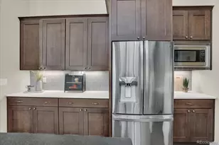 4543 Fell Mist Way, Castle Rock, CO 80109 - Photo 19