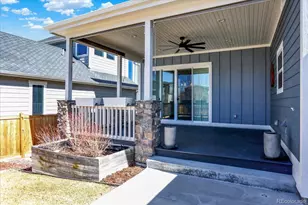 4543 Fell Mist Way, Castle Rock, CO 80109 - Photo 39