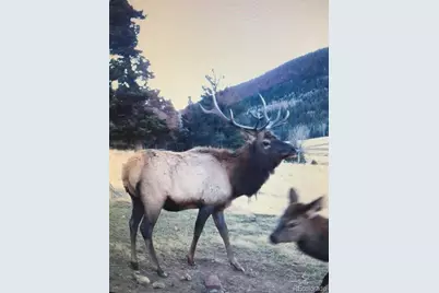 2137 Riccardo Lane, Fort Garland, CO 81133 - Photo 3