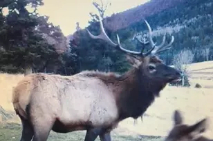 2137 Riccardo Ln, Fort Garland, CO 81133 - Photo 3