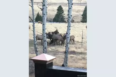 2137 Riccardo Lane, Fort Garland, CO 81133 - Photo 7