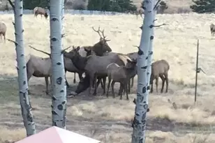 2137 Riccardo Ln, Fort Garland, CO 81133 - Photo 7