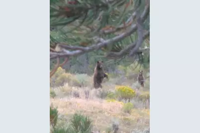 2137 Riccardo Lane, Fort Garland, CO 81133 - Photo 47