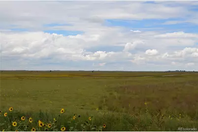 Parcel 6 County Rd 2, Rush, CO 80833 - Photo 7