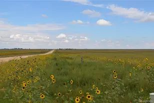 Parcel 6 County Rd 2, Rush, CO 80833 - Photo 1