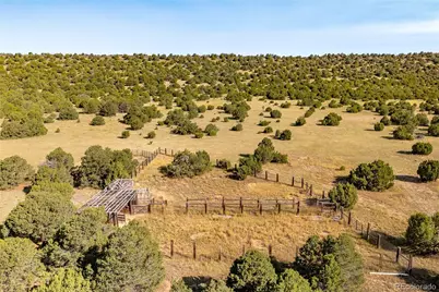 115 Cedar Canyon Road, Walsenburg, CO 81089 - Photo 43