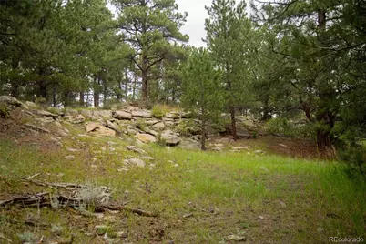 11503 E Smith Road, Elbert, CO 80106 - Photo 25