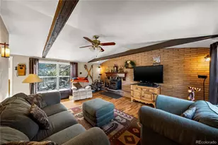 106 Elk Dr, Bailey, CO 80421 - Photo 3