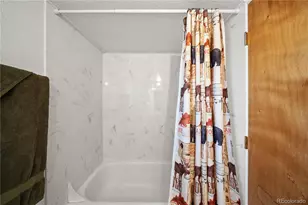 106 Elk Dr, Bailey, CO 80421 - Photo 17