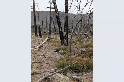 Lot 2301 Wohlstetter Loop, Fort Garland, CO 81133 - Photo 9