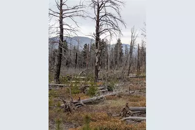 Lot 2301 Wohlstetter Loop, Fort Garland, CO 81133 - Photo 3