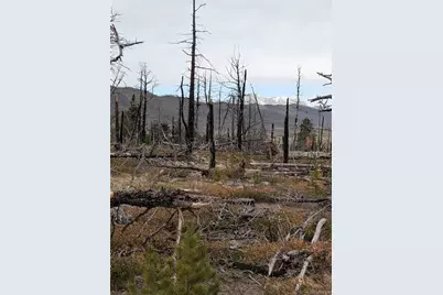 Lot 2301 Wohlstetter Loop, Fort Garland, CO 81133 - Photo 5