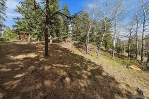 81 Raccoon Cir, Evergreen, CO 80439 - Photo 47