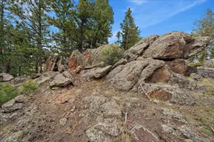 81 Raccoon Cir, Evergreen, CO 80439 - Photo 45
