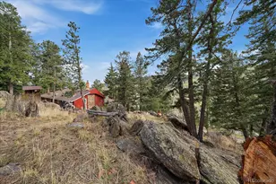81 Raccoon Cir, Evergreen, CO 80439 - Photo 43