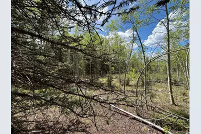 113 Ithaca Lane, Como, CO 80432 - Photo 9