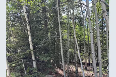 113 Ithaca Lane, Como, CO 80432 - Photo 17