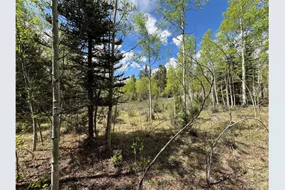 113 Ithaca Lane, Como, CO 80432 - Photo 3