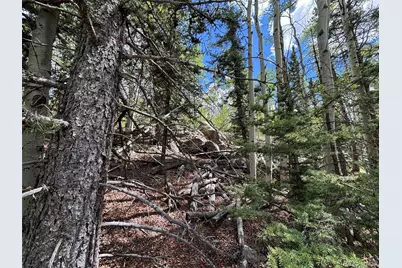 113 Ithaca Lane, Como, CO 80432 - Photo 11